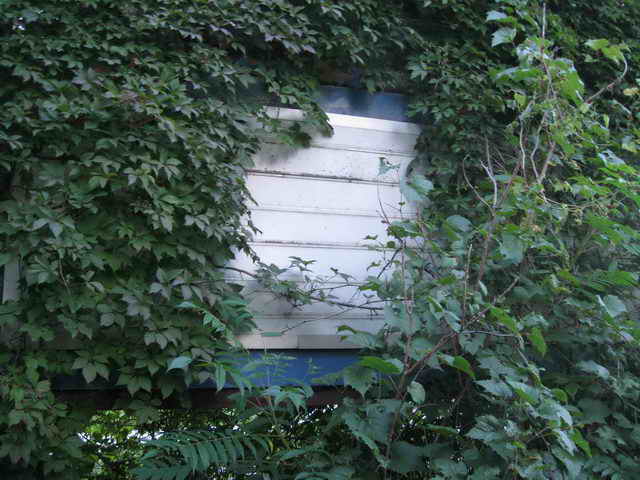 Moonlite Drive-In - 2014 Photo (newer photo)